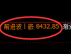 聚丙烯期货:4小时高点,精准展开极端回落
