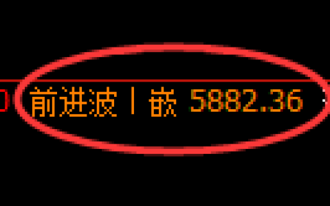 PTA期货：修正高点，精准展开振荡回落