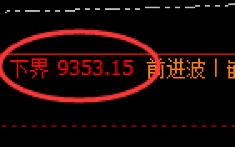棕榈油期货：试仓低点，精准展开振荡反弹