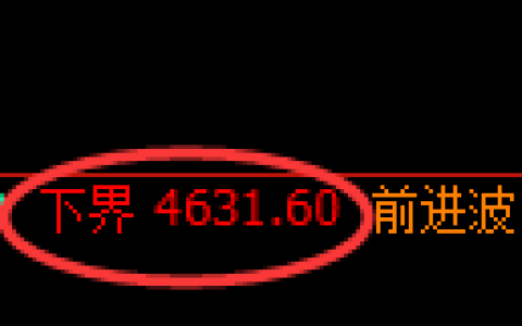 纸浆期货：试仓低点，精准展开积极回升