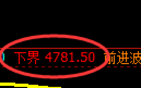 纸浆期货：试仓低点，精准展开振荡反弹