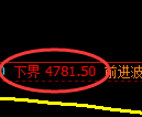 纸浆期货:试仓低点,精准展开振荡反弹