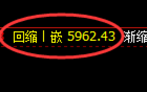 PTA期货：日线周期，精准展开宽幅洗盘