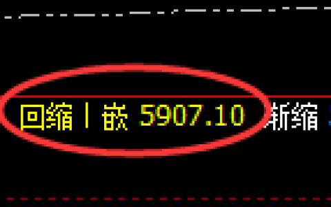 PTA期货：修正低点，精准展开强势回升