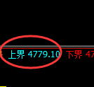 纸浆期货：试仓高点，精准展开振荡调整